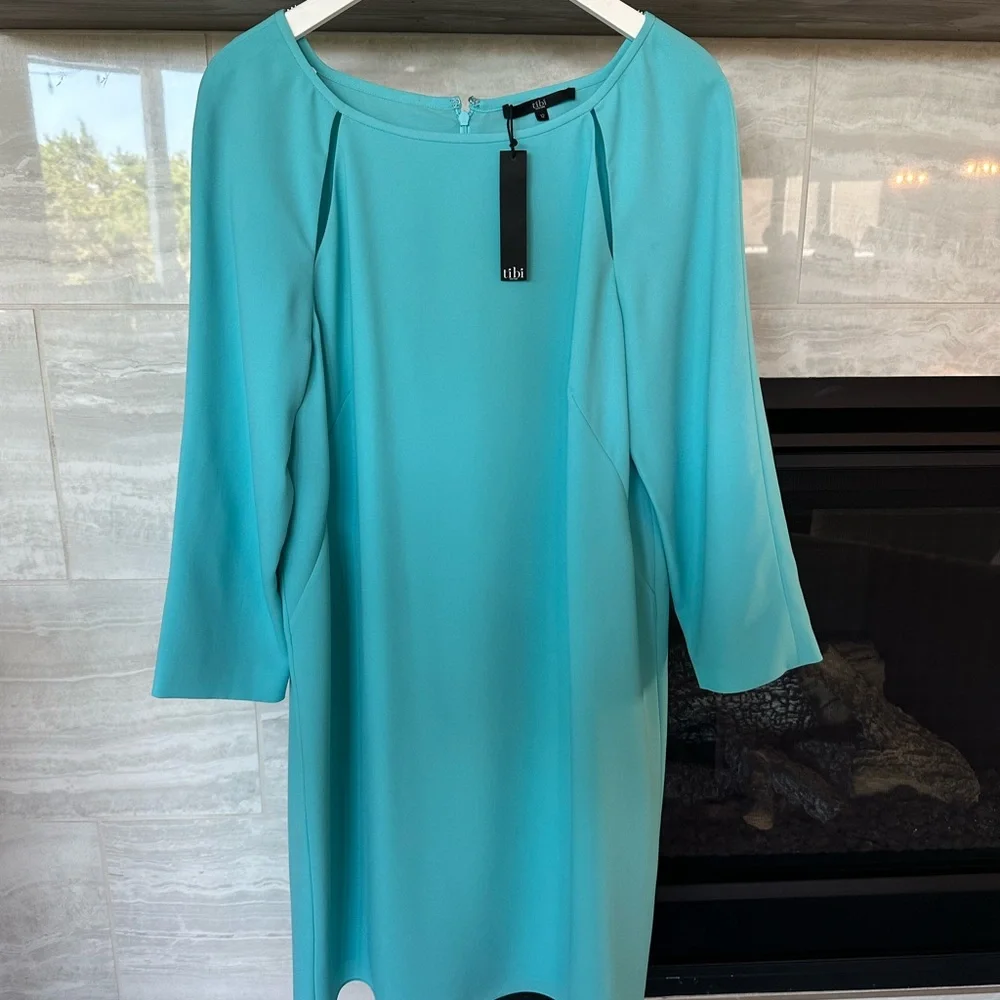 Tibi Alison Peek a Boo Shift Dress - Picture 12 of 12